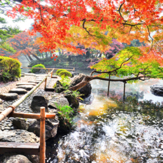 Exposition – L’Automne Japonais